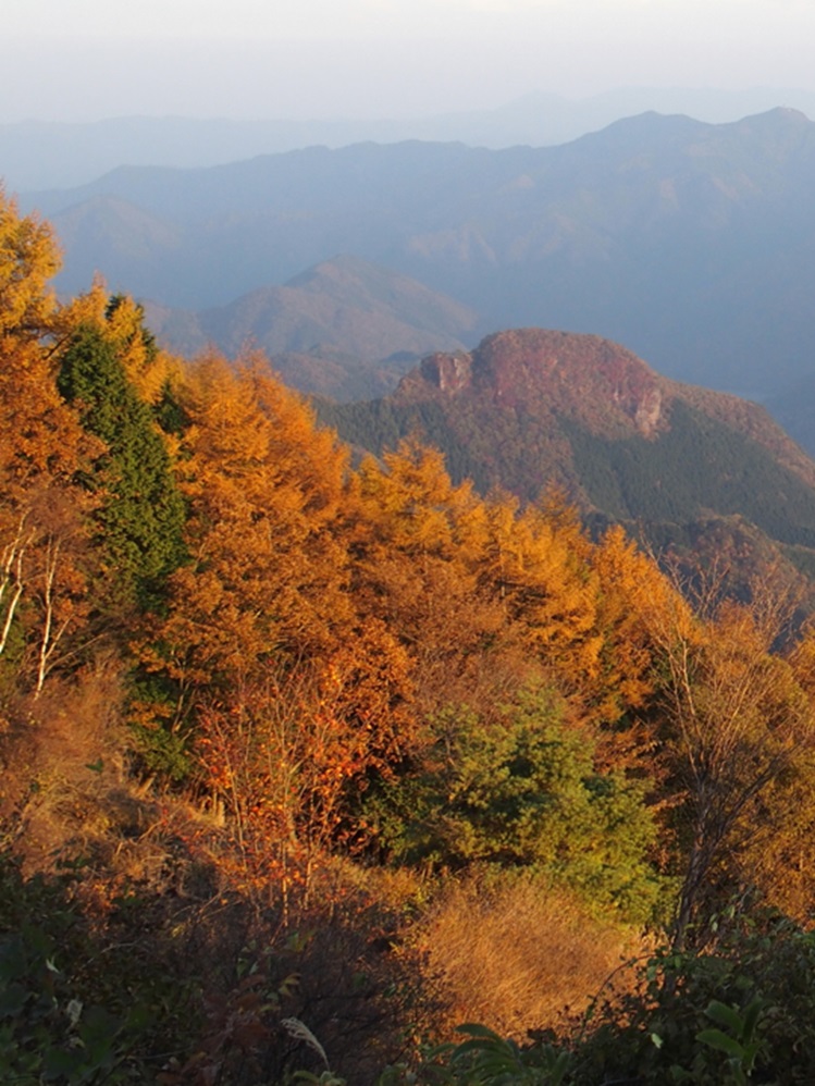 夕暮れの西御荷鉾山からの紅葉の山々の眺望