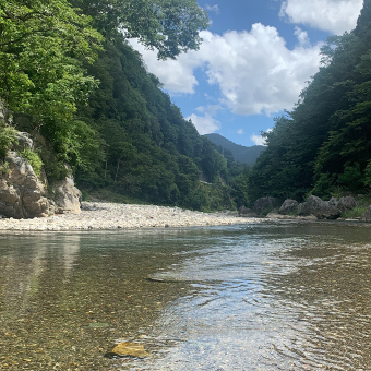 両岸を木々に囲まれた広い川を川辺から撮影した写真