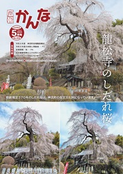 広報かんな令和6年5月号表紙龍松寺のしだれ桜