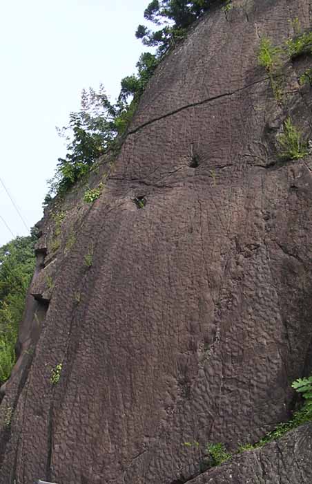 茶色い岸壁右上部から左上部にかけて足跡が残されている